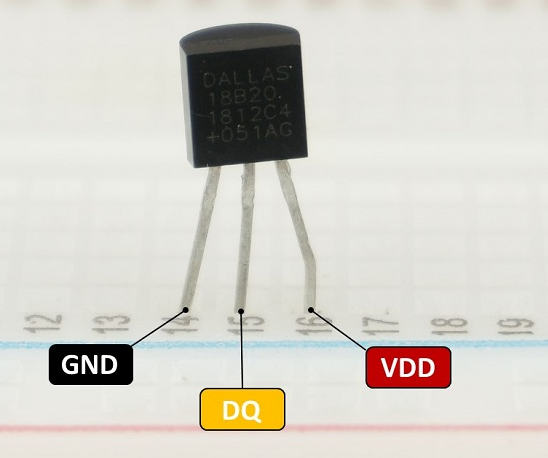ds chip